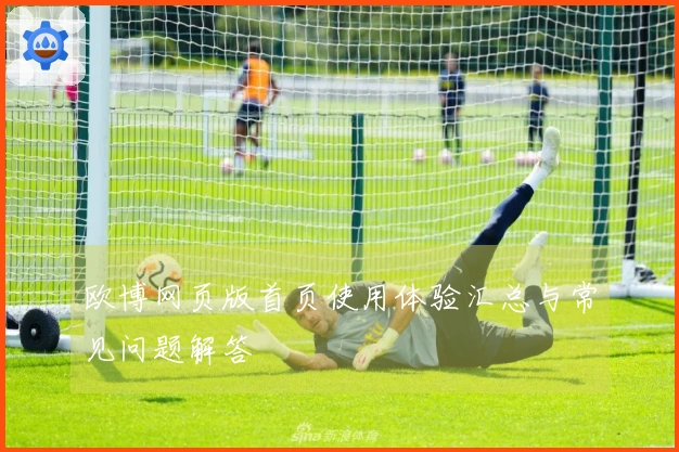 欧博网页版首页使用体验汇总与常见问题解答