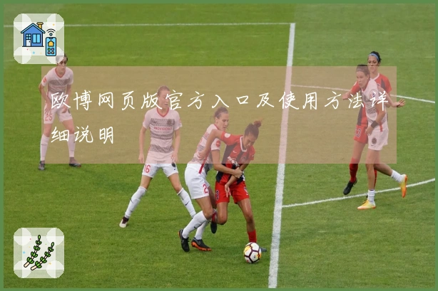 欧博网页版官方入口及使用方法详细说明