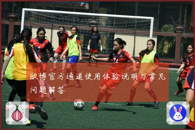 欧博官方通道使用体验说明与常见问题解答