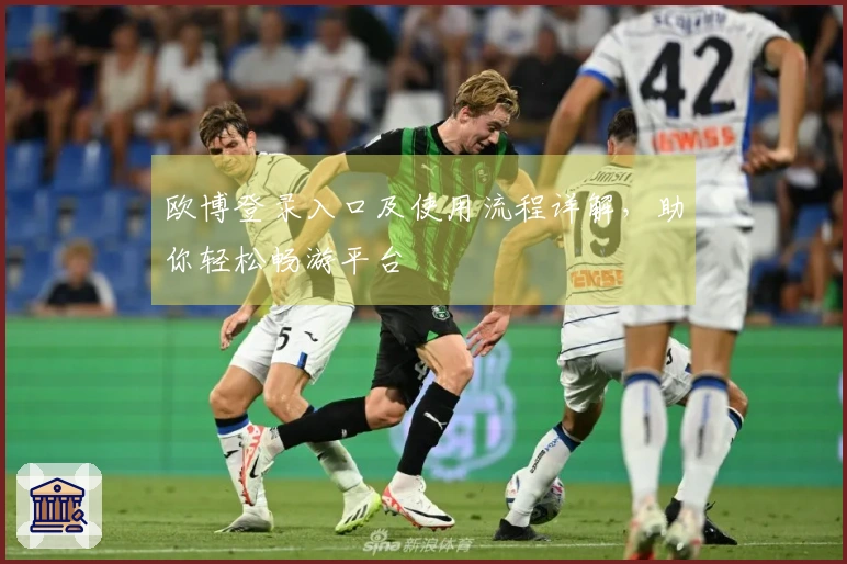 欧博登录入口及使用流程详解，助你轻松畅游平台