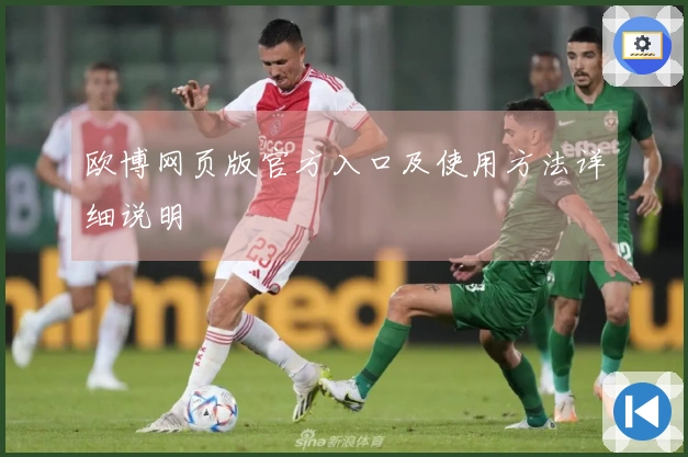 欧博网页版官方入口及使用方法详细说明